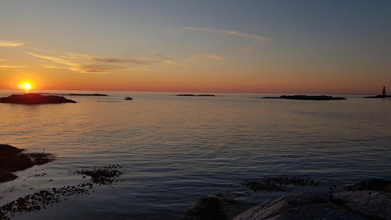 Sveggvika Guesthouse Sveggen Eksteriør billede