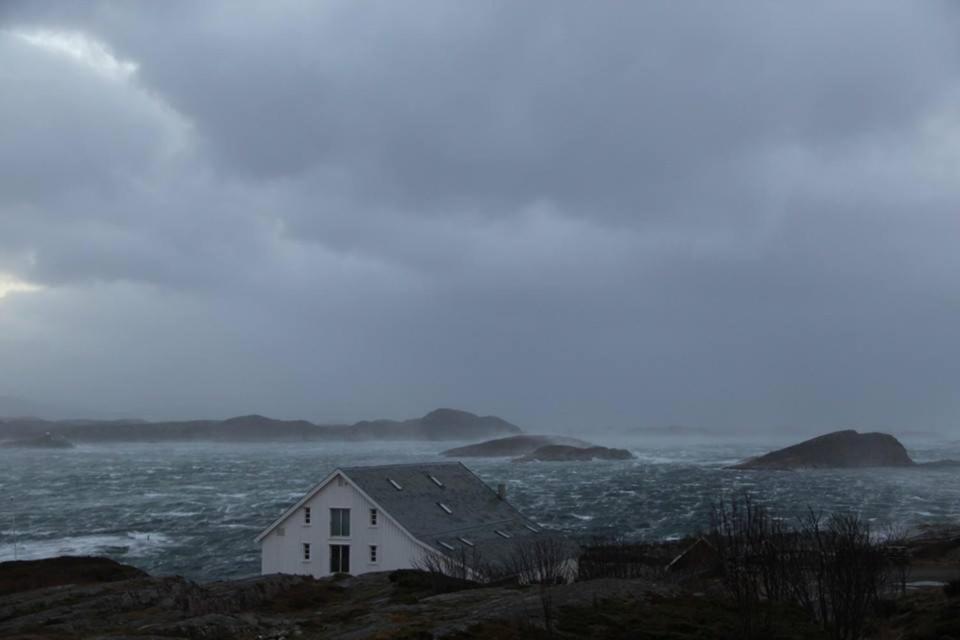 Sveggvika Guesthouse Sveggen Eksteriør billede
